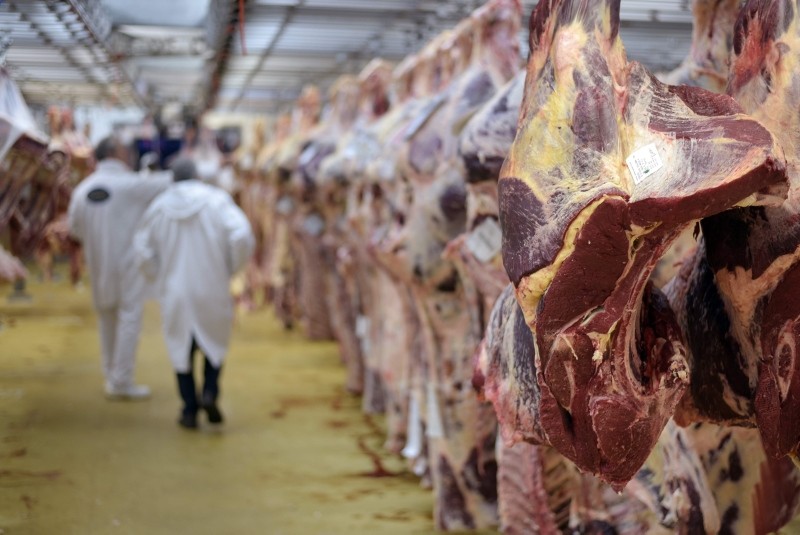 In this file photo taken on November 19, 2015 cow carcasses are dipslayed at the meat pavilion of the Rungis international food market in Rungis (AFP Photo)