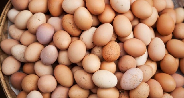 700 ألف بيضة ملوثة نصيب بريطانيا من فضيحة البيض في أوروبا