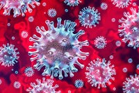 اكتشاف أول إصابة بشرية بسلالة إنفلونزا الخنازير الجديدة في بريطانيا