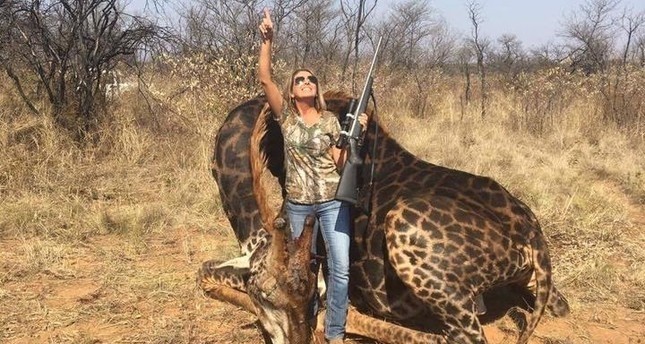Кадры с убитым редким чёрным жирафом вызвали волну возмущения в социальных сетях