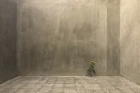 u201cWeed #443u201d (2018) by Tony Matelli.