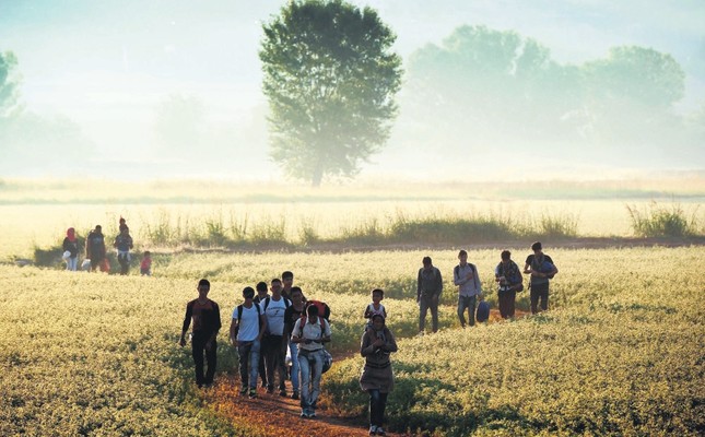 Migrants walking through a field to cross the border from Greece to Macedonia near the Greek village of Idomeni, Aug. 29, 2015. (AFP Photo)