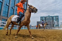 A coach teaches horseback riding on a field built on the roof top of a shopping mall in Haikou in Chinau2019s southern Hainan province.