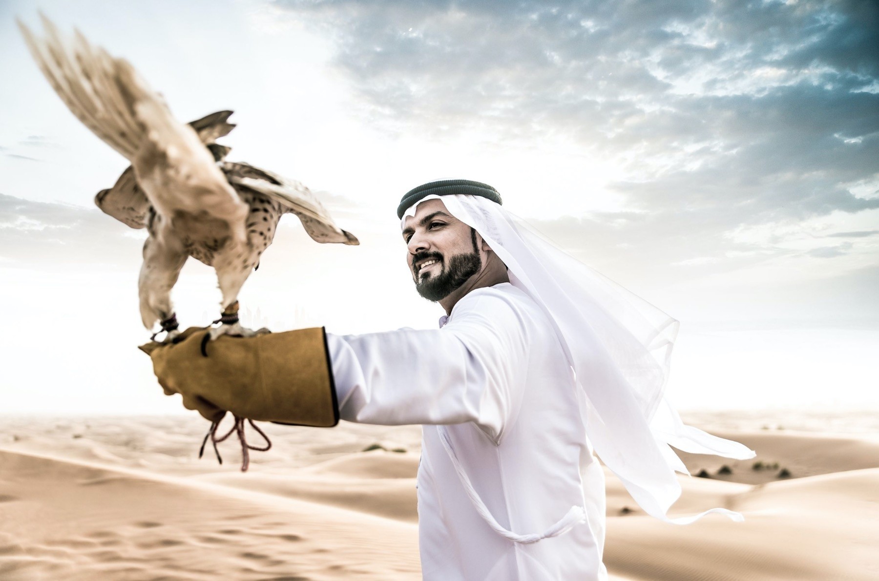 Predatory falcons, worth as much as TL 1 million are expected to put on a great show at the festival.