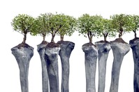 A work from the ,We Are Numbers, series by Rafael Gomezbarros. 