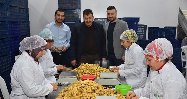 قصة نجاح سورية: 3 مهندسين يؤسسون شركة لتصدير التين المجفف التركي