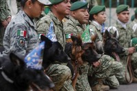 المكسيك تحتفل بميلاد أرقاداش الكلب الذي خَلَف بروتيو رمز الصداقة التركية
