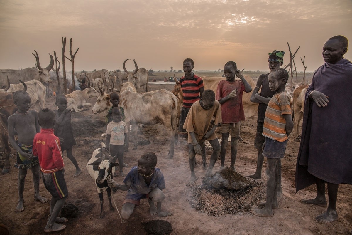 South Sudan's cattle grazers in pictures