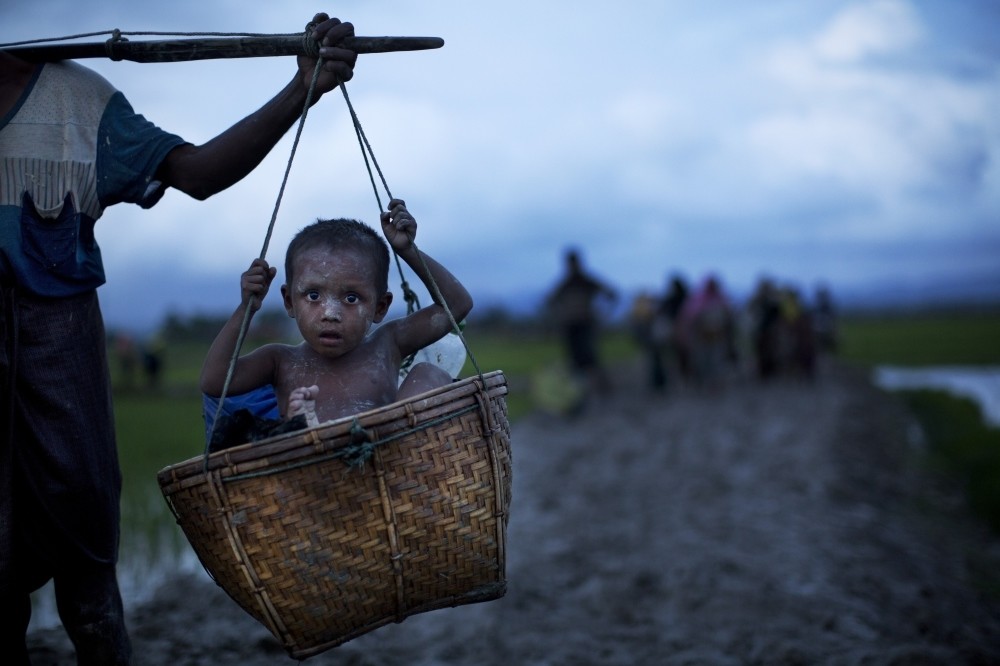 A Rohingya child from Myanmar is carried in a basket past rice fields after crossing over to the Bangladesh side of the border near Cox's Bazar's Teknaf area, Sept. 1. 