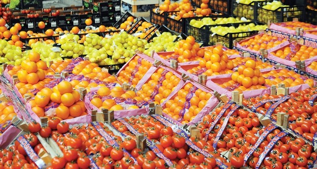 تركيا.. صادرات منطقة إيجة من الفواكه والخضروات تتجاوز المليار دولار