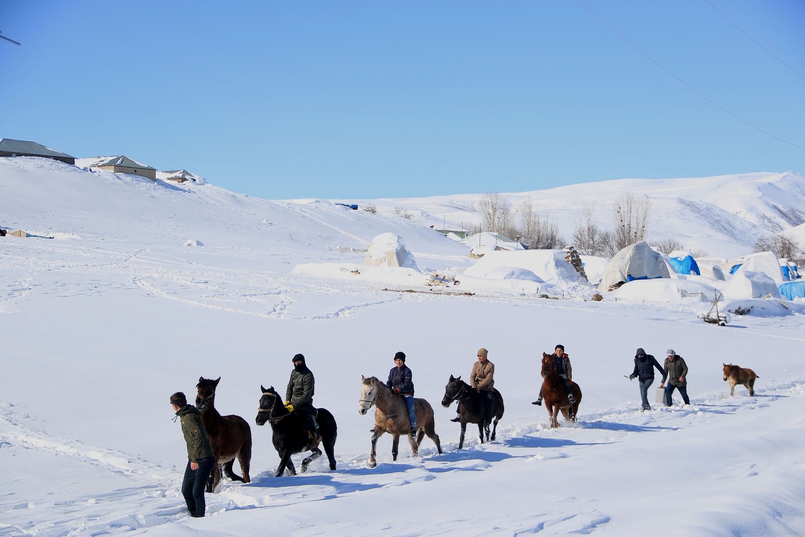 Жители Карлыова тренируют лошадей в снежную погоду