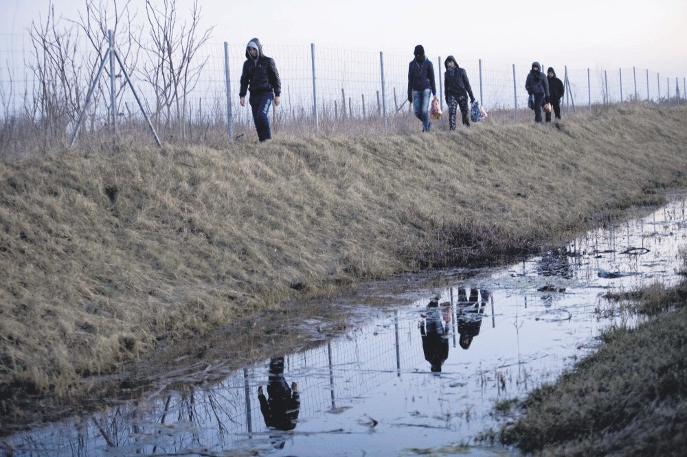 Afghan migrants trek their way to the Serbian border with Hungary close to Hajdukovo, 150 kilometers north of Belgrade, Serbia, Feb. 17, 2015.