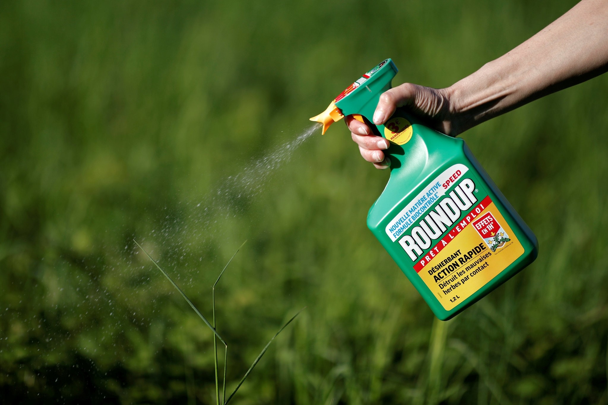 A woman uses a Monsanto's Roundup weedkiller spray without glyphosate in a garden in Ercuis near Paris. (REUTERS Photo)