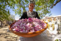 ورثتها عن جدتها.. مسنة تونسية تواظب على تقطير الزهور بطريقة تقليدية