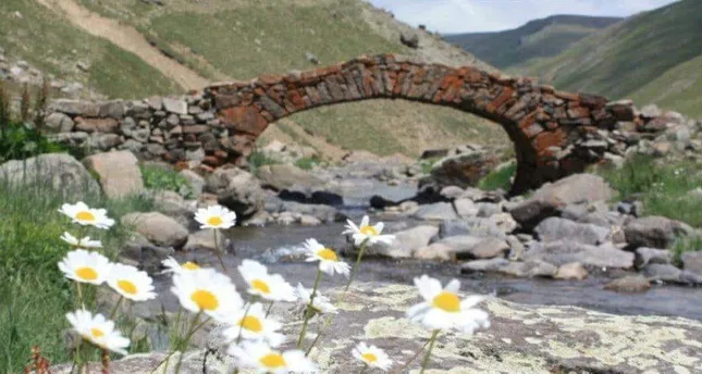 This file photo provided by DHA shows the bridge before its disappearance.