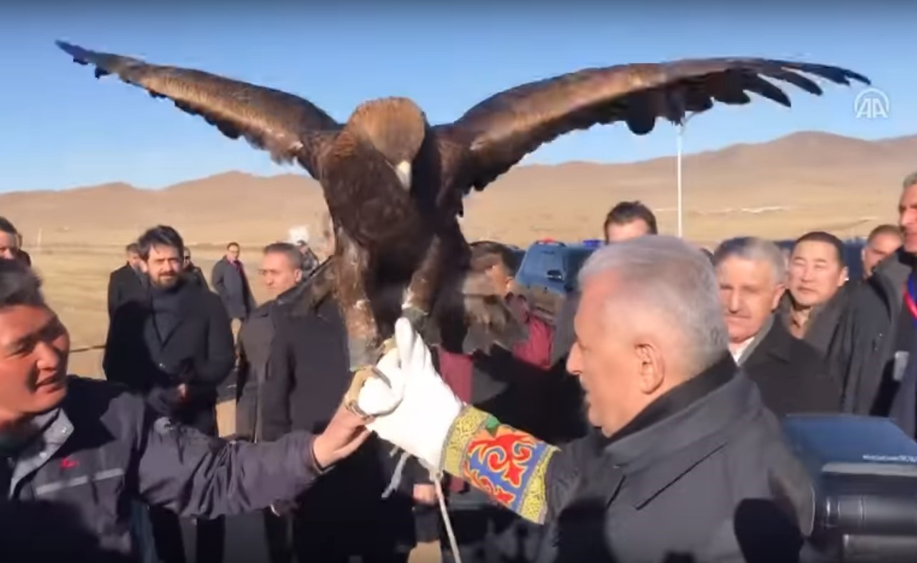 Yıldırım holds a trained eagle during an official trip to Mongolia. 