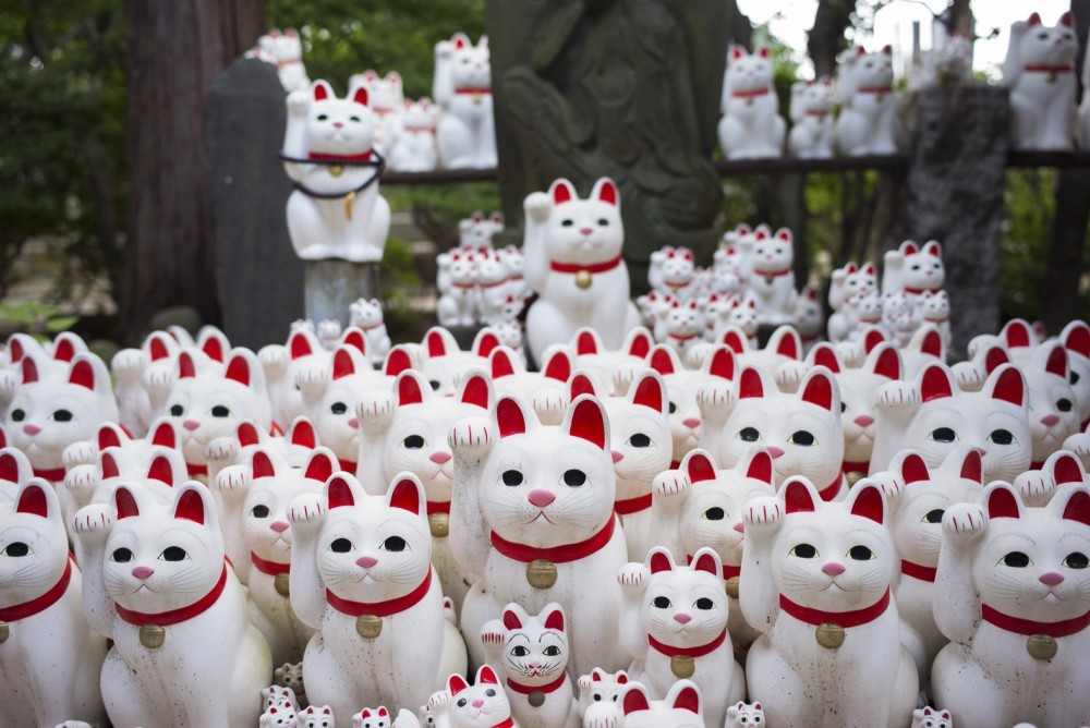 Image shows cat figurines called ,maneki-neko, at the Gotokuji temple in Tokyo
