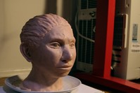 This image provided by Hebrew University in Jerusalem shows a statue reconstruction of a juvenile female Denisovan based on a skeletal profile reconstructed from ancient DNA methylation maps (AP Photo)