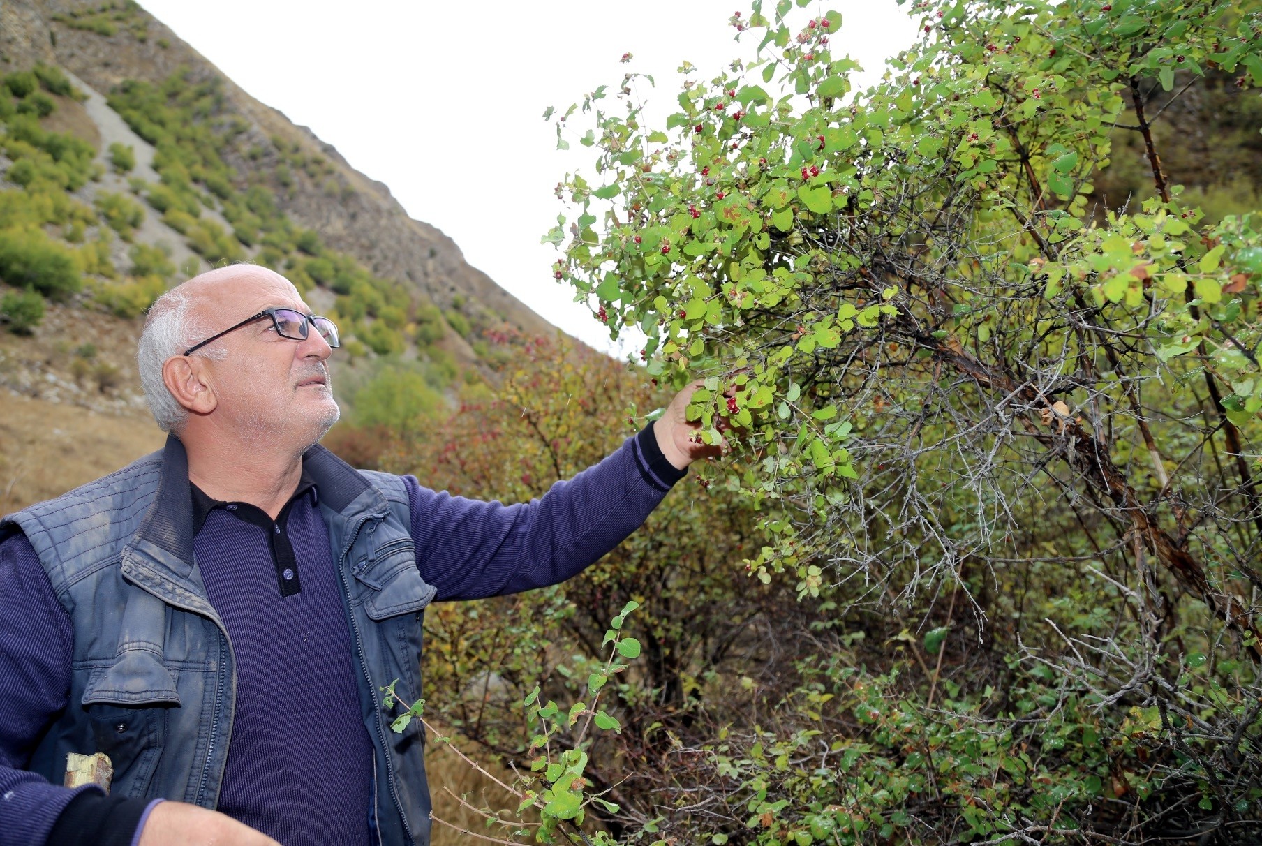 Walking for hours in forests and mountains around Anatolia, Kadir Yau015far (above) has made it his lifeu2019s work to find and identify endemic plants of Anatolia.