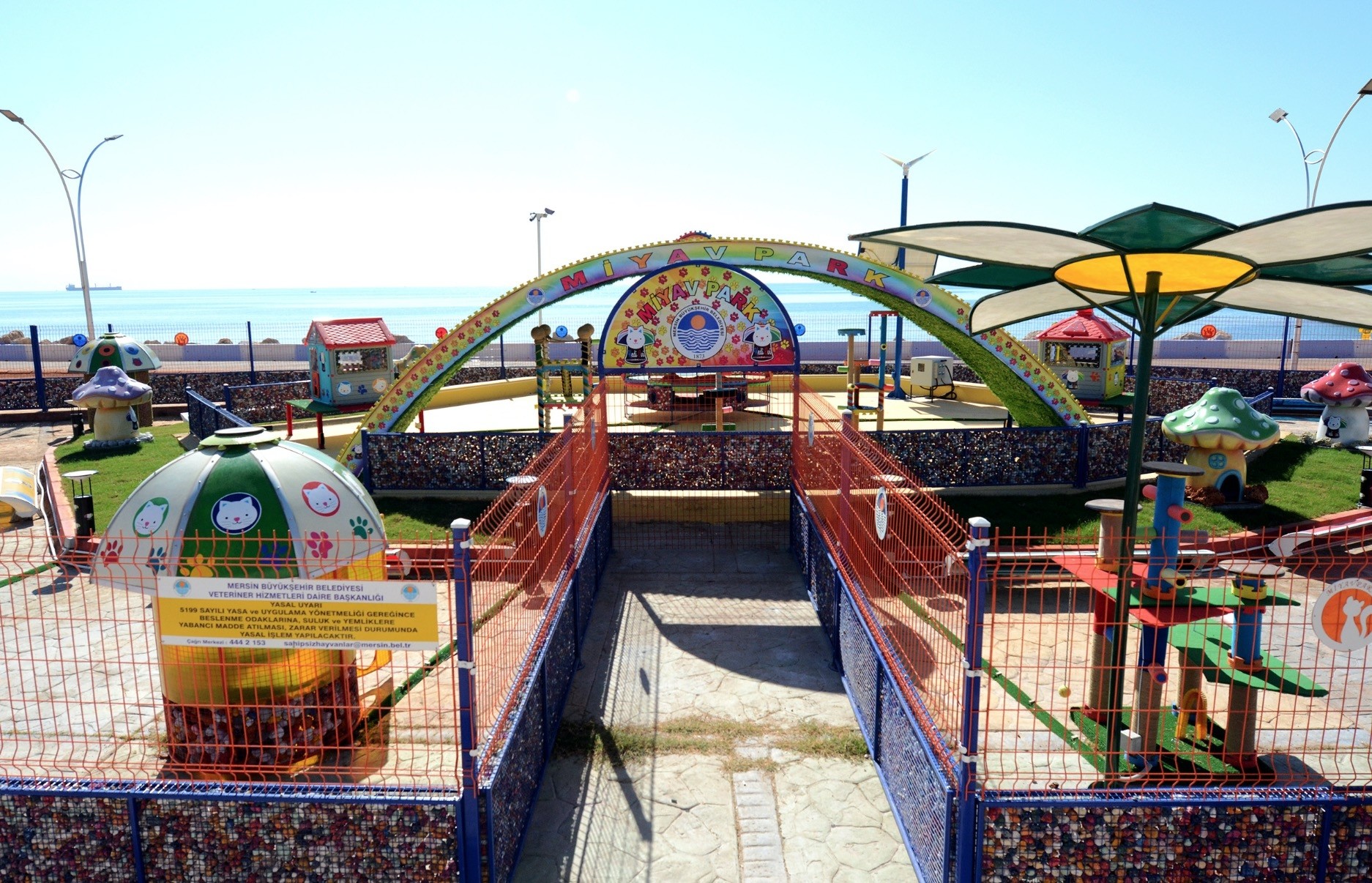 When the cat's away: Park in Mersin offers good time for felines