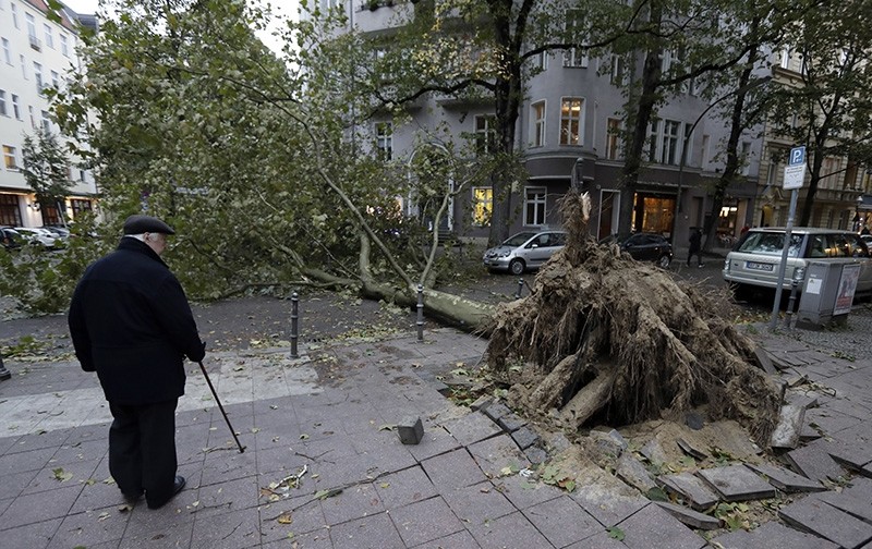 A man looks at a uprooted  tree that has crashed on a street during a heavy storm in Berlin, Germany, Thursday, Oct. 5, 2017. (AP Photo)
