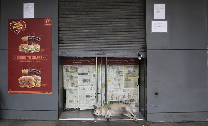 A stray dog sleeps at the entrance to a partially closed McDonald's outlet in New Delhi, India, Tuesday, Aug. 22, 2017. (AP Photo)