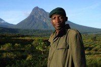 Two months after the film u201cVirungau201d premiered at 2014 Tribeca Film Festival, public outrage triggered the suspension of further exploration plans in the Virunga National Park, a UNESCO World Heritage site and refuge for endangered mountain gorillas.
