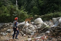 أفاد التركية تدرب كلاب الإنقاذ للعثور على المصابين والمفقودين في الكوارث
