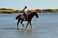 A tourist enjoys a horseback safari in Aydu0131n's resort town of Didim.