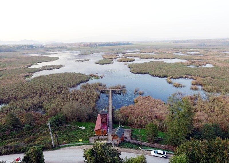 Bird paradise in northwest Turkey amazes visitors with scenery, wildlife