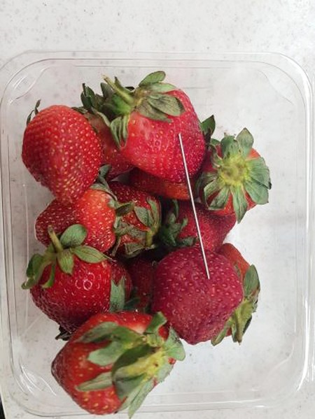 A handout photo made available by the Queensland Police on September 14, 2018 shows a thin piece of metal seen among a punnet of strawberries, in Gladstone, Australia. (EPA Photo)