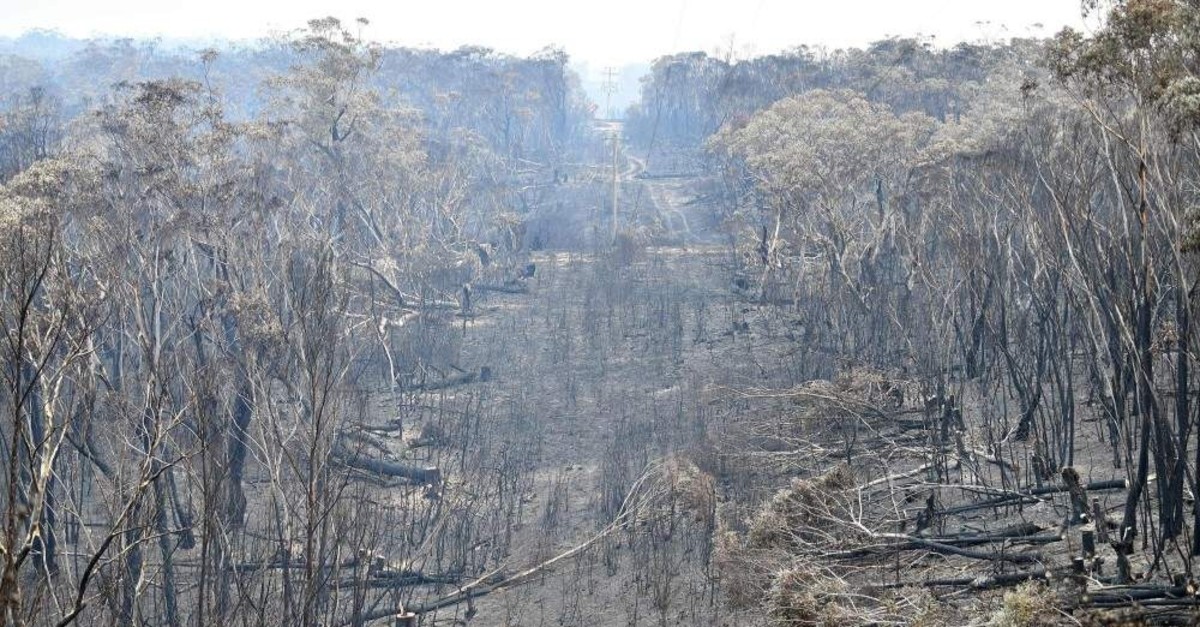 A view of landscape littered with burnt trees after a bushfire in Mount Wilson in the Blue Mountains, Dec. 18, 2019. (AFP Photo)