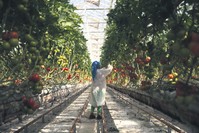 Investors in Turkey's southeastern province of u015eanlu0131urfa have launched a $100 million greenhouse project to benefit from geothermal power in cooperation with the Treasury and Finance Ministry and the regional development agency.