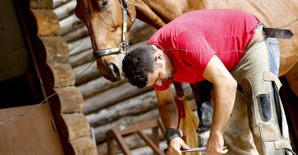 K?rk?l tends the hoof of a horse at a farm in Antalya. He says putting a horse's comfort first makes the job easier. (AA Photo)