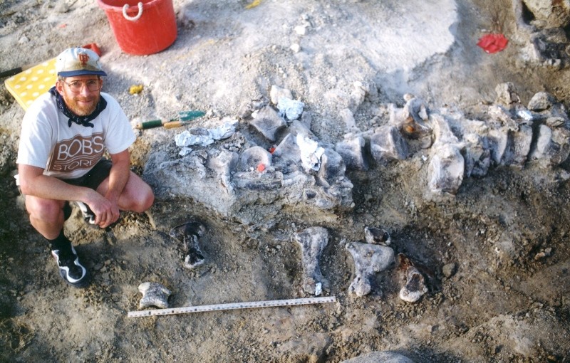 This 1998 image courtesy of the University of Kansas Division of Vertebrate Paleontology archives shows a University of Kansas expedition crew member next to the brachiosaur foot bones (C) and a tail of a Camarasaurus (R). (AFP Photo)