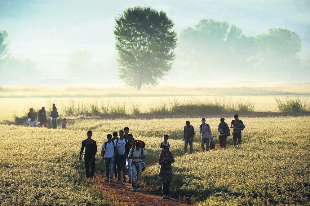 Refugees walking through a field to cross the border from Greece to Macedonia near the Greek village of Idomeni, Aug. 29, 2015. 