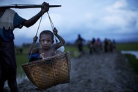 A Rohingya child from Myanmar is carried in a basket past rice fields after crossing over to the Bangladesh side of the border near Cox's Bazar's Teknaf area, Sept. 1. 