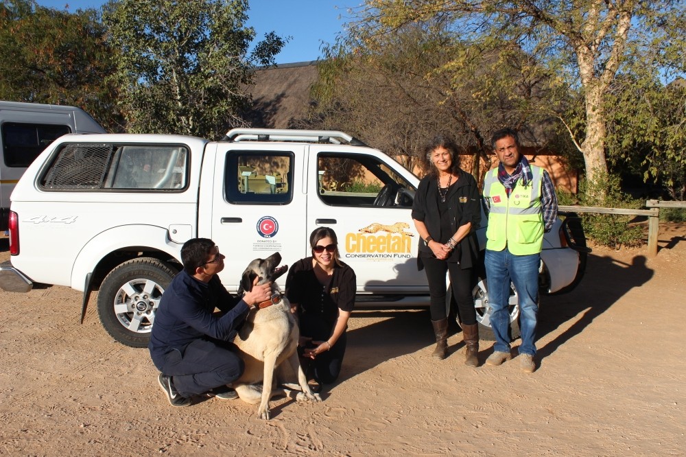 TİKA and Cheetah Conservation Fund along with Anatolian Shepherd dog together in front of a car, donated by TİKA.