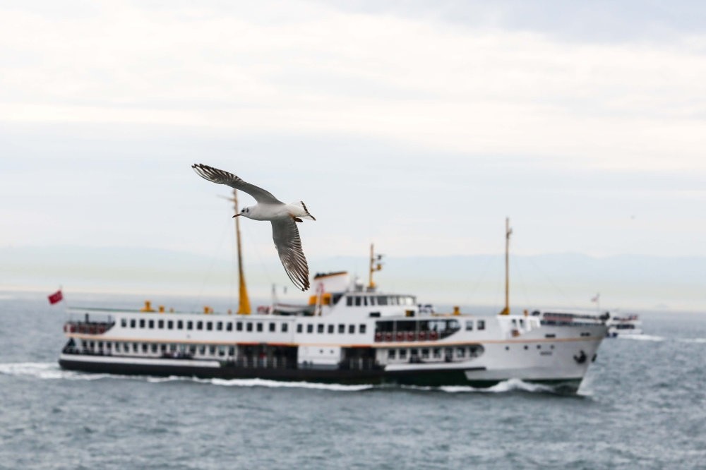 Accompanied by seagulls, ferries of Istanbul City Lines carry thousands of people from Asia to Europe and visa versa every day.