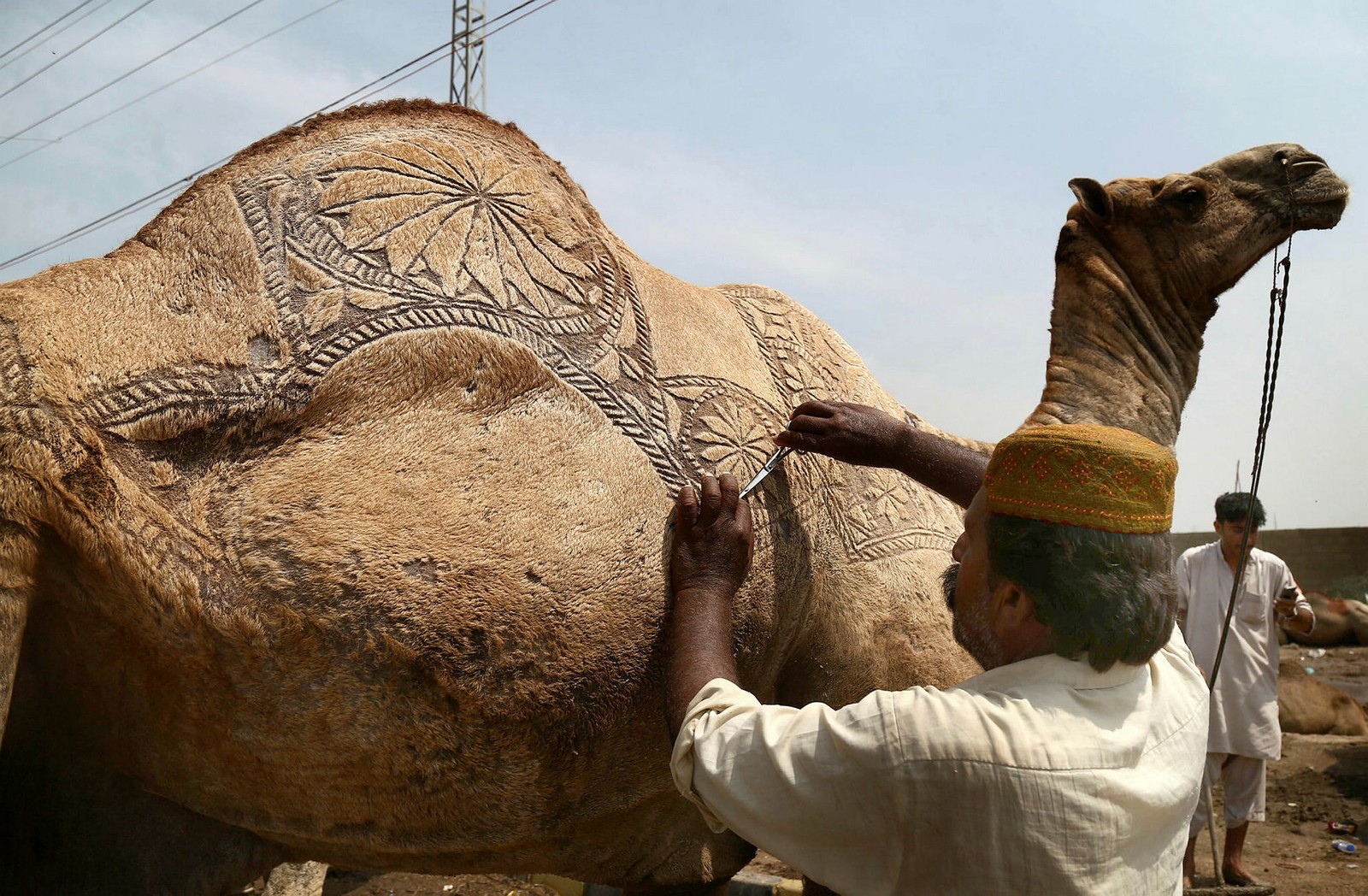 Over a billion Muslims around the world celebrate Eid al-Adha with joy