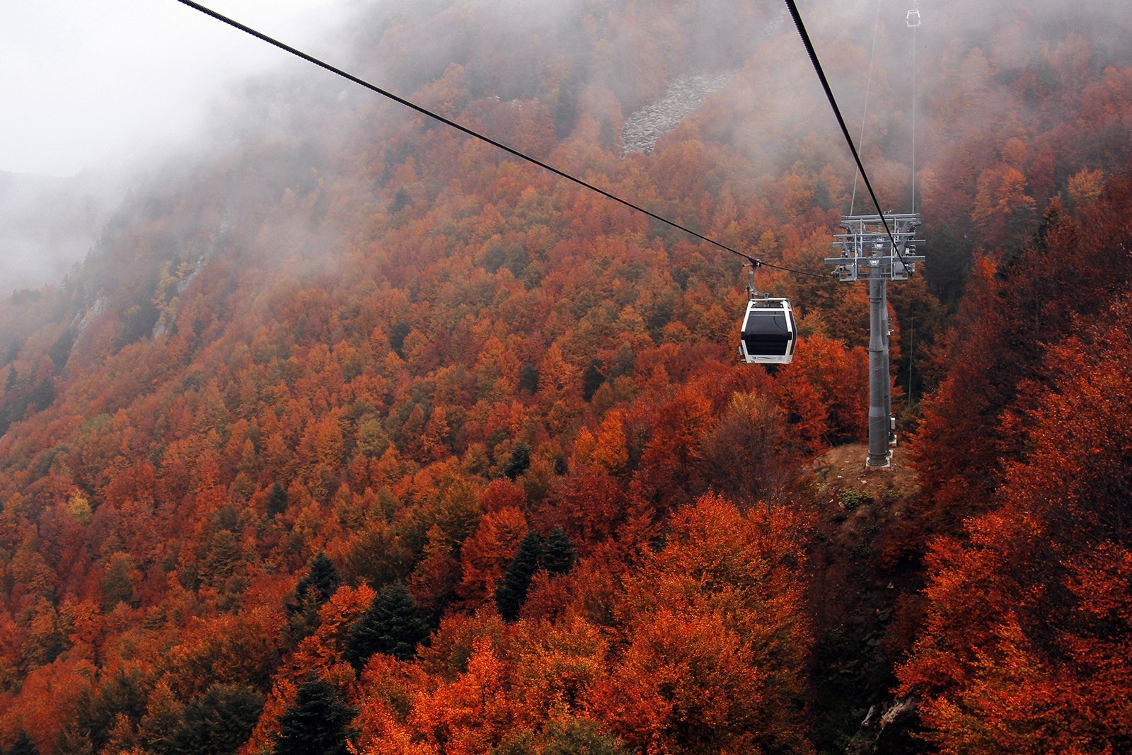 Самая живописная пора года: осень в регионах Турции