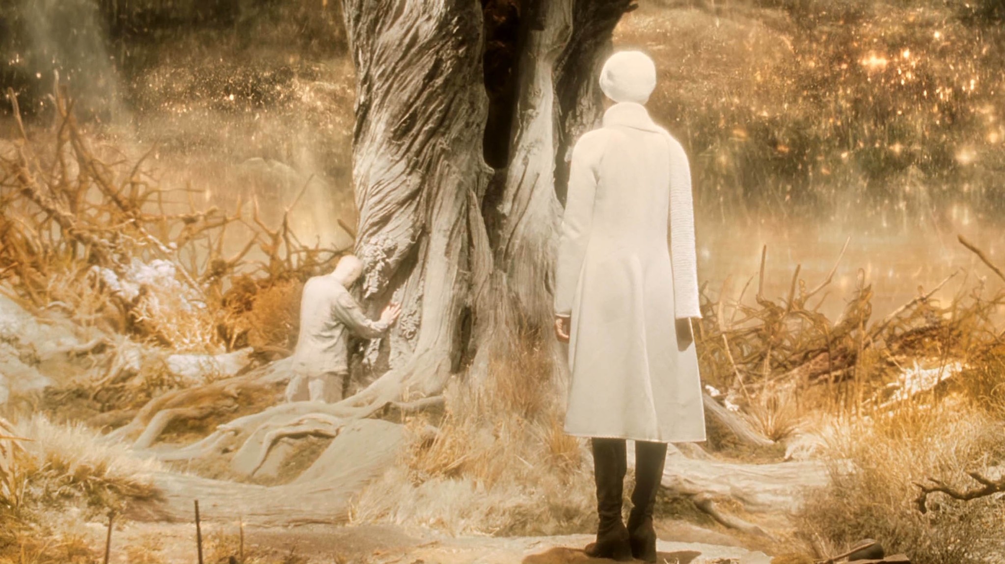 An image from Darren Aronofskyu2019s u201cThe Fountain.u201d