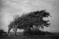 Yusuf Sevinu00e7li, ,Oculus u2013 013,, 2016Pigment print