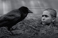 'The Painted Bird' revolves around a Jewish boy orphaned during World War II.