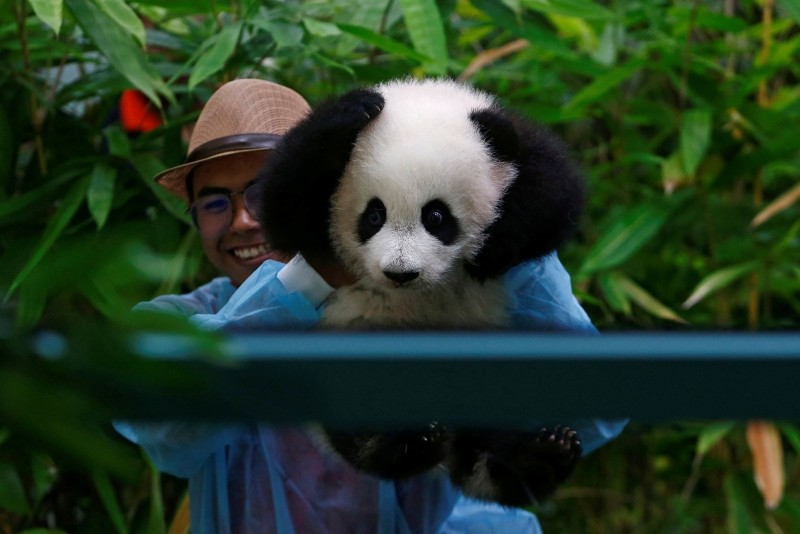 Зоопарк куала лумпур Зоопарк куала лумпур