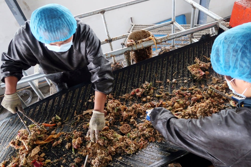 Workers sort kitchen waste to feed cockroaches at a waste processing facility on the outskirts of Jinan, Shandong province, China.
