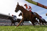 Jockey Craig Williams, front, rides Vow and Declare to victory in the Melbourne Cup, Nov. 5, 2019. (AP Photo)