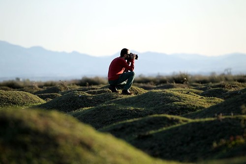 دلتا "كيزيل إرماك" التركية تستعد لاستقبال هواة التصوير 2 دلتا كيزيل إرماك" التركية تستعد لاستقبال هواة تصوير الطيور