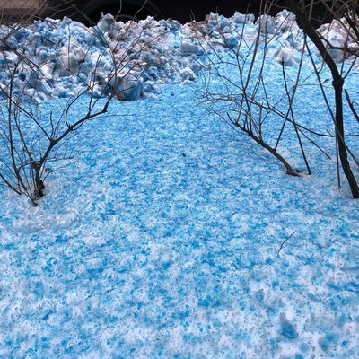 Blue snow in St. Petersburg.