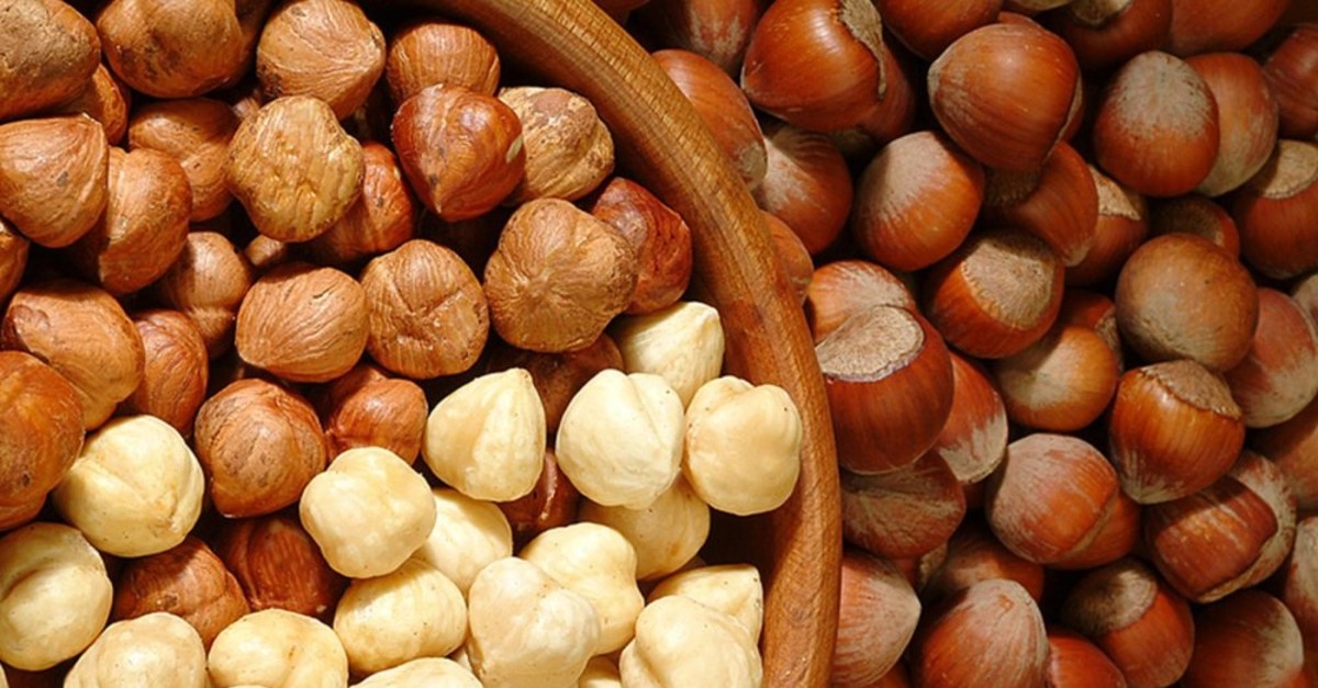 Turkey's hazelnut exports total 1.4 billion in 10 months Daily Sabah